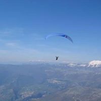 Ritratto di Nicola D'andrea