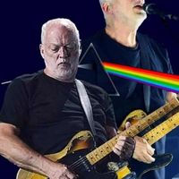 Ritratto di David Gilmour