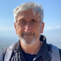 Ritratto di Domenico Targusi